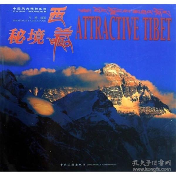 小猫钓鱼游戏龙王版有船
